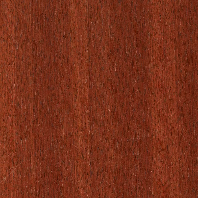 Mogano