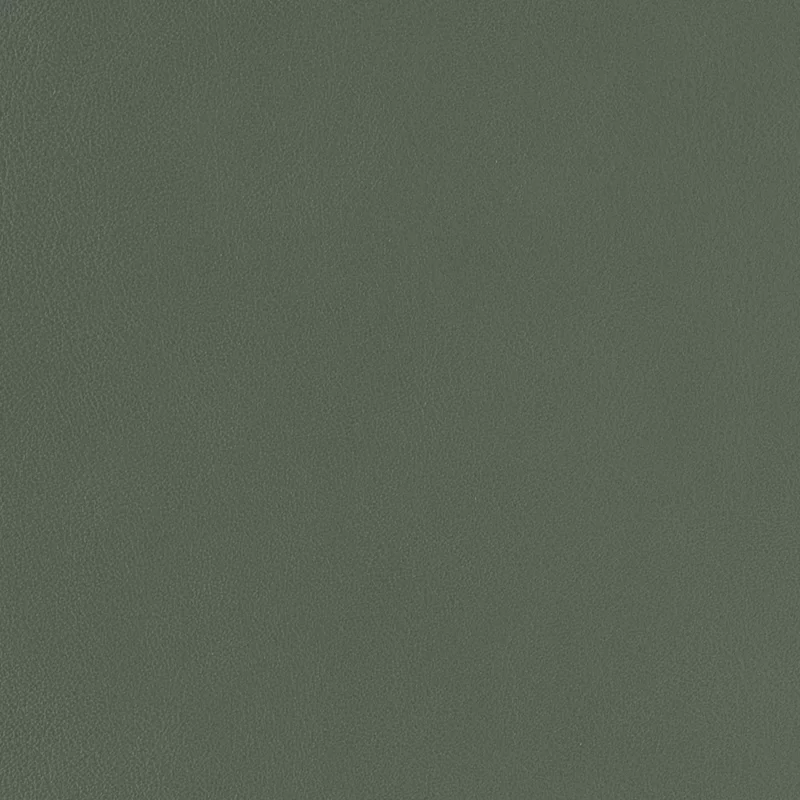 Astro Grey